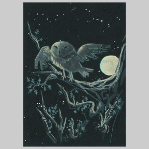 Owl #2