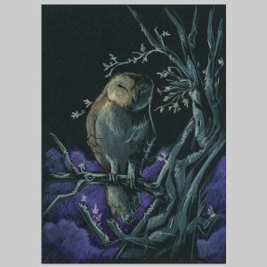 Owl #3
